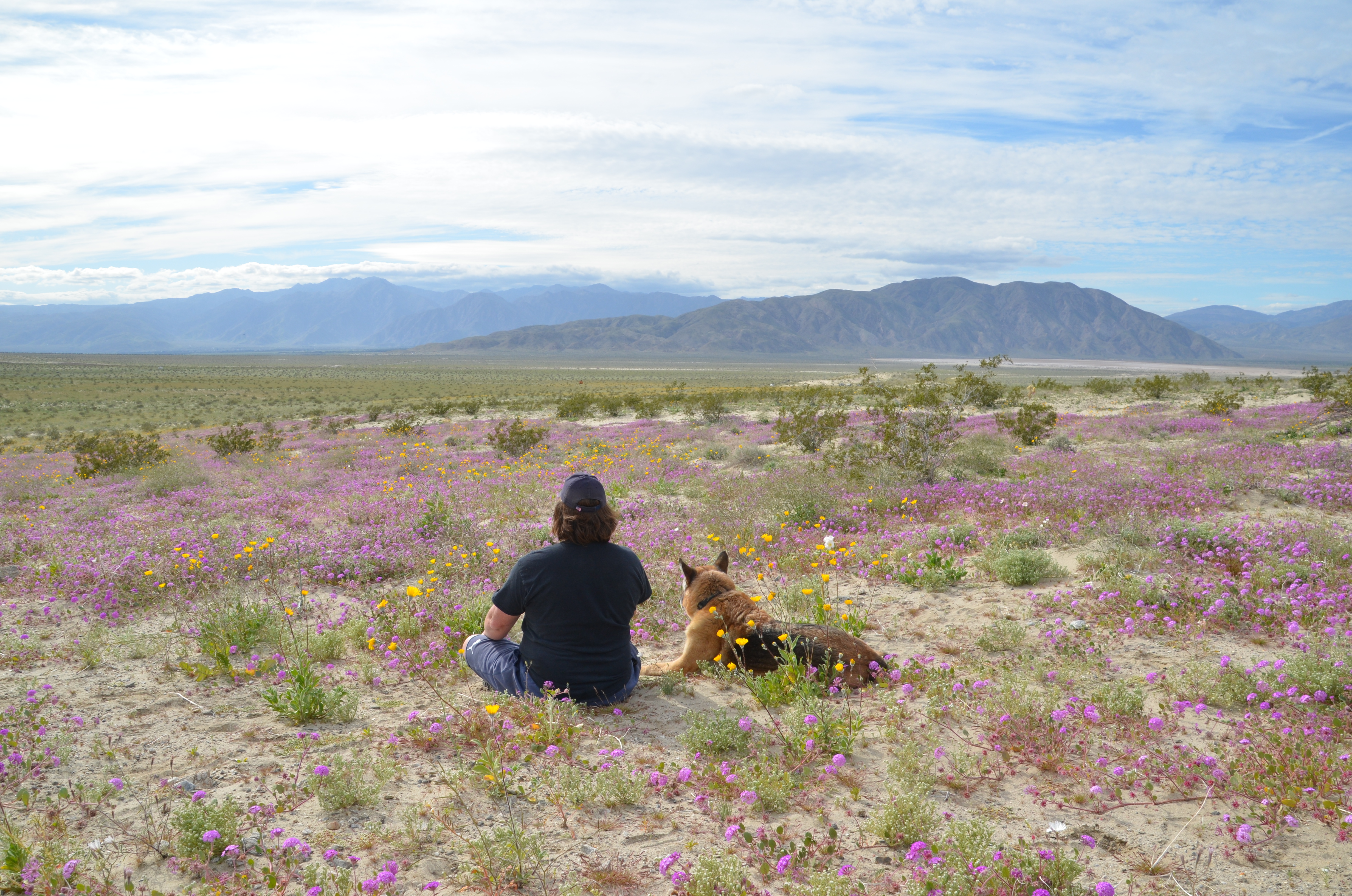 enjoying the desert canyon floor